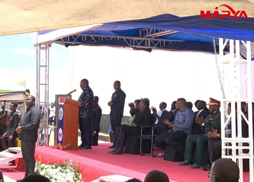 Proyecto de l&iacute;nea de llenado de vial de clientes tanzanos6