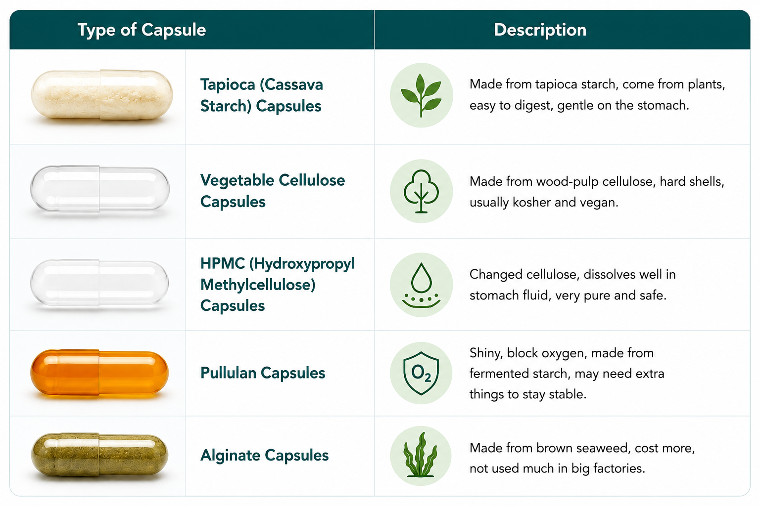 Tipos de vegetales