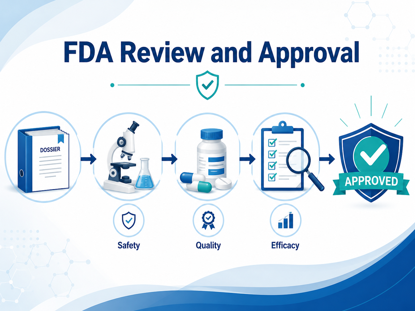 Revisi&oacute;n y aprobaci&oacute;n de la FDA